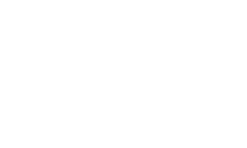 companion_logo